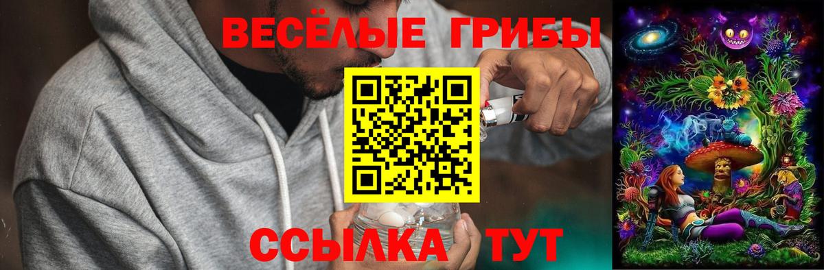Аксай  Псилоцибиновые грибы Psilocybine cubensis  Вход с VPN  Псилоцибиновые грибы мицелий 