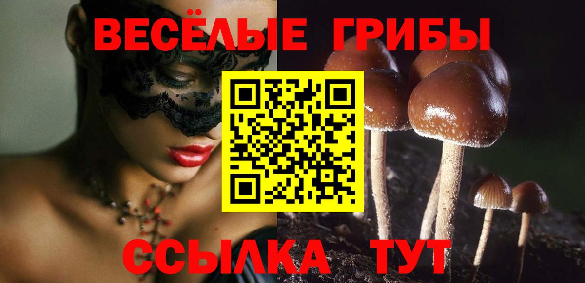 Псилоцибиновые грибы Psilocybe Аксай